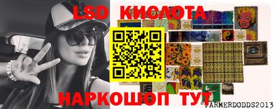 PSILOCYBIN Вязники