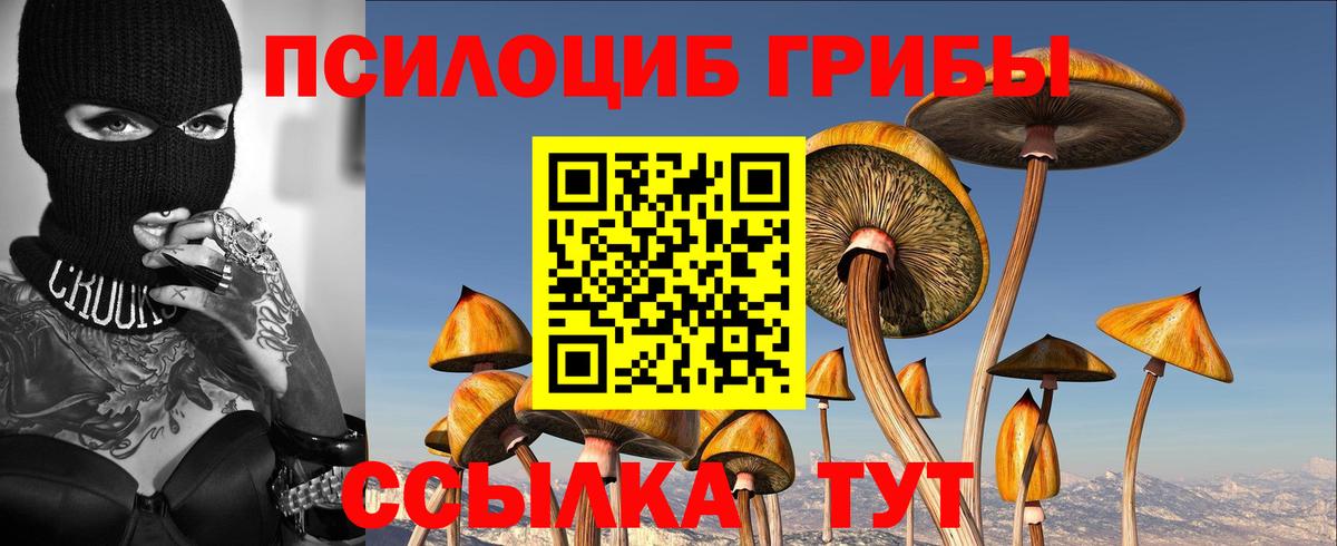 Галлюциногенные грибы прущие грибы Пушкино