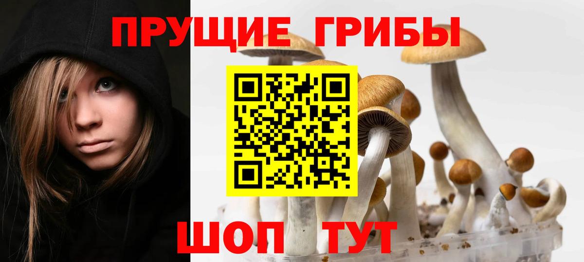 Галлюциногенные грибы Psilocybine cubensis  Вход с VPN  Пушкино  Галлюциногенные грибы Magic Shrooms 
